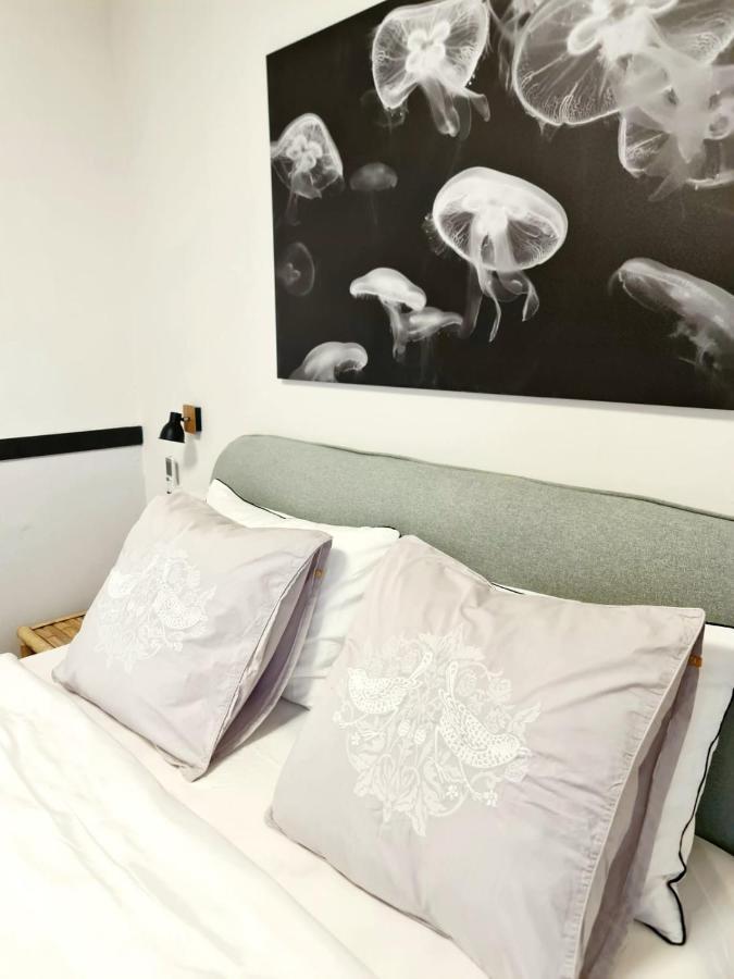 Royal Park- Magical Garden Apartment エイラート エクステリア 写真